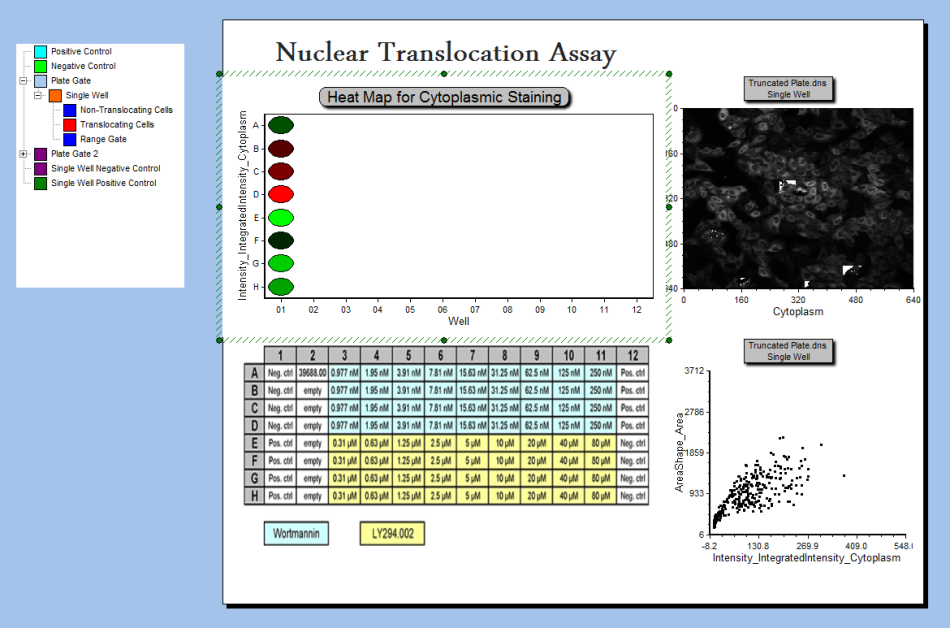 图T28.33 The Experiment Design Layout Page (实验设计版面页) 